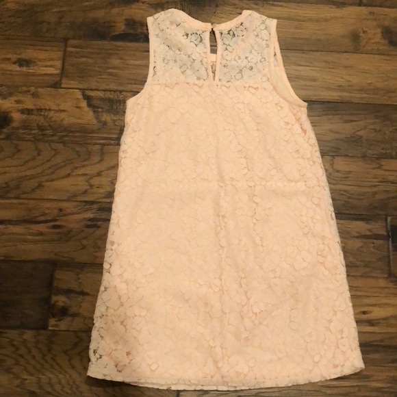 Blush pink lace dress 💕 - Picture 4 of 7